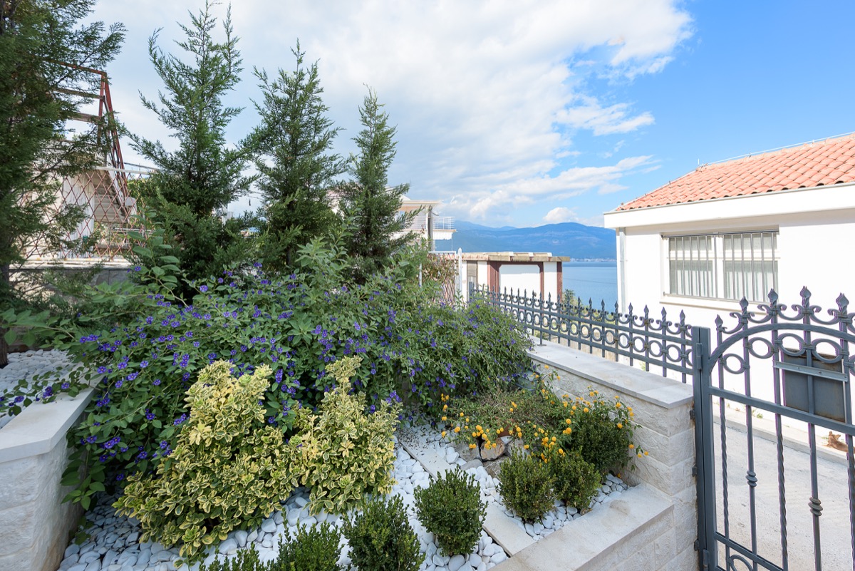 Well-maintained garden with flowering shrubs and a sea view at a villa in Krašići, Montenegro, featuring a wrought-iron fence and a terrace.