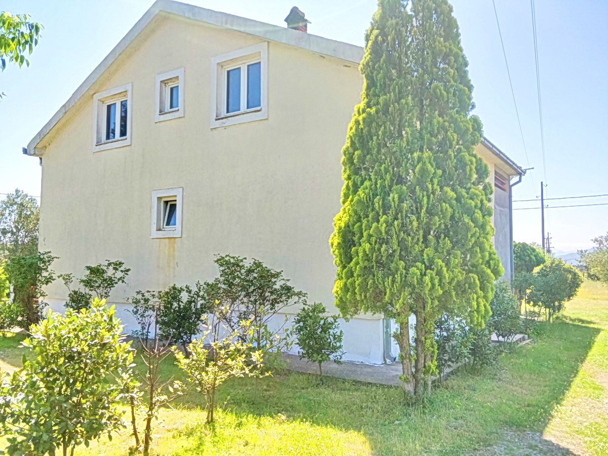 Two-story private house with a garden in Podgorica, Montenegro: front view with greenery and light-colored finishes.