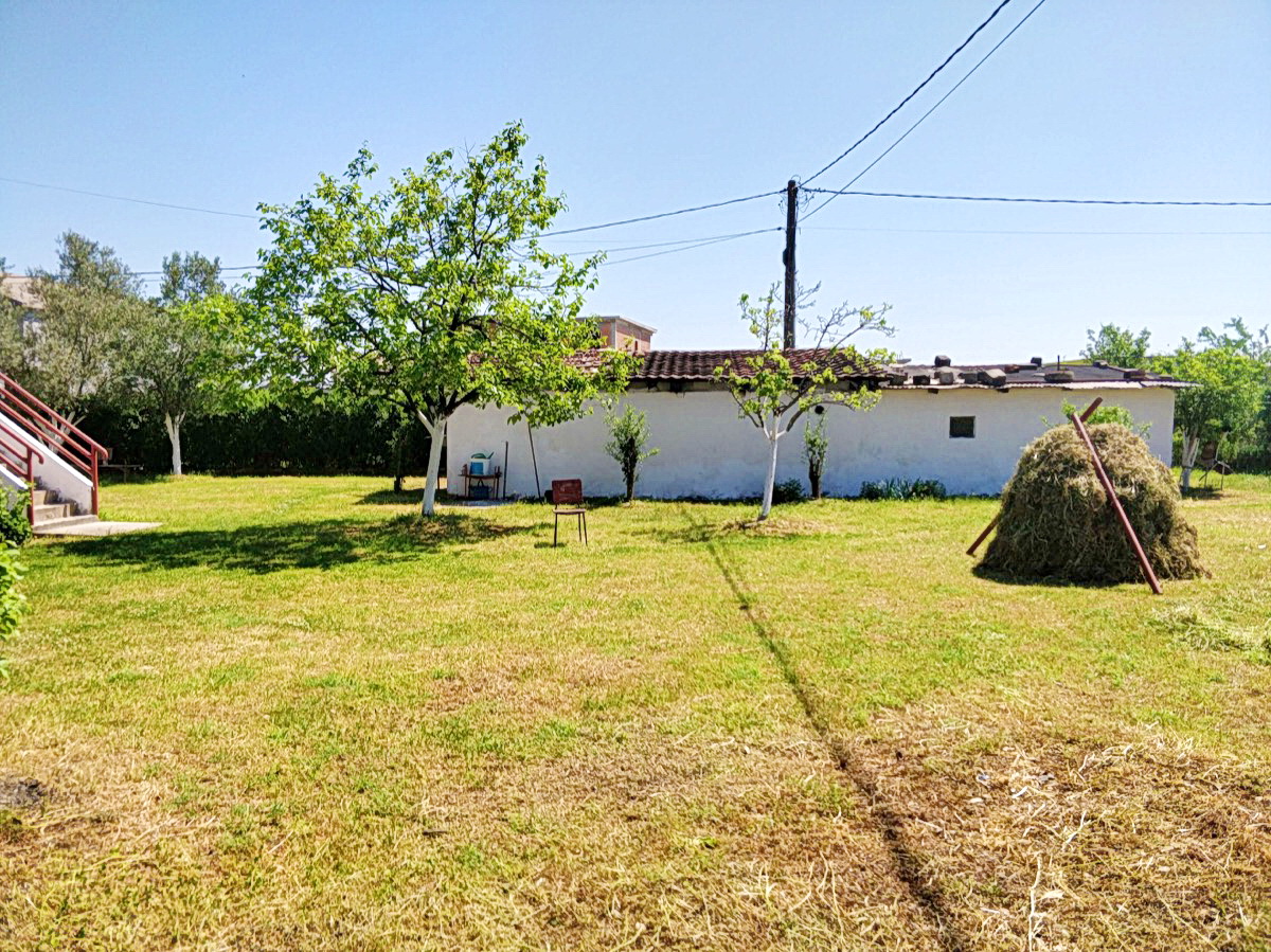 Green plot with a garden and an outbuilding next to the house in Podgorica, Montenegro. View of the area around the house.