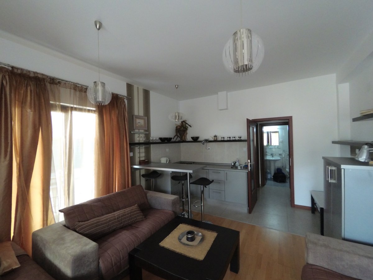 Living room with kitchen and bar counter in an apartment in Budva, Montenegro: modern interior, soft furniture, and a view of the bathroom.