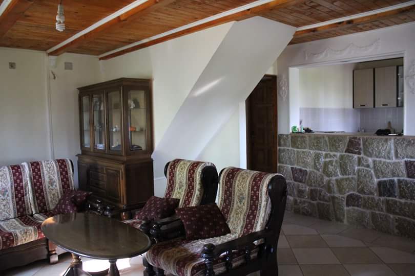 Living room in a house in Sutomore, Montenegro: wooden ceiling, classic furniture, and a natural stone bar counter.