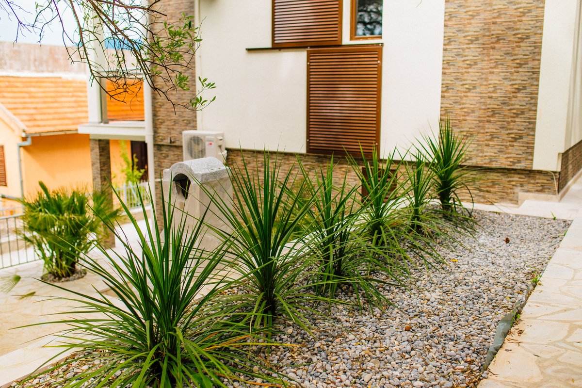 Landscape design and facade of a modern villa in Krašići, Montenegro: stone cladding, palm trees, and a gravel path.