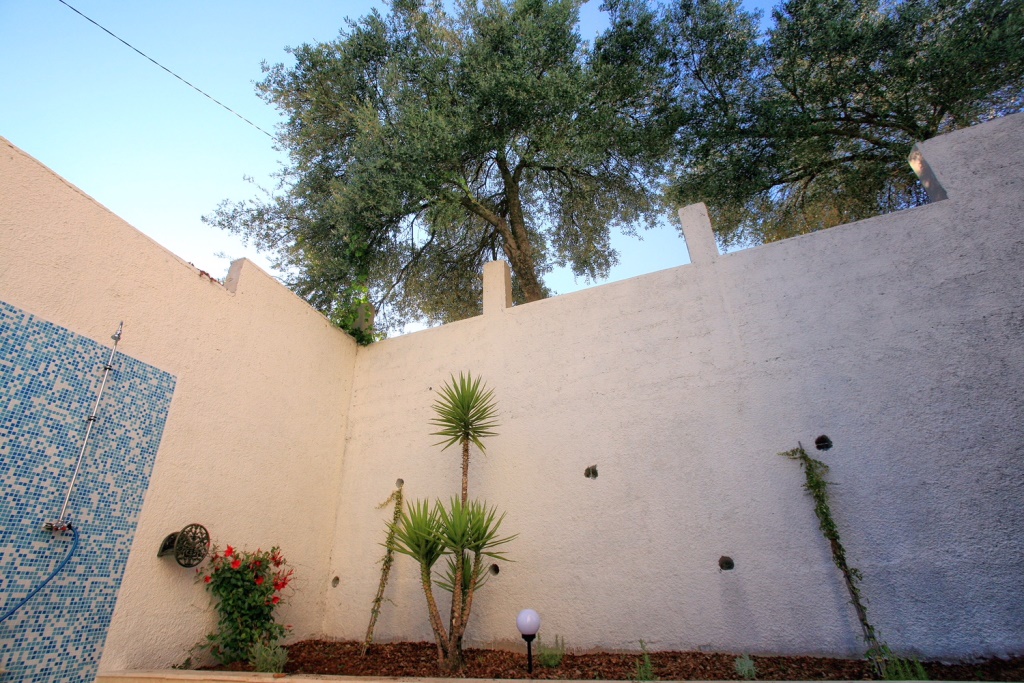 Cozy villa courtyard in Herceg Novi, Montenegro: outdoor shower, decorative plants, and olive trees.