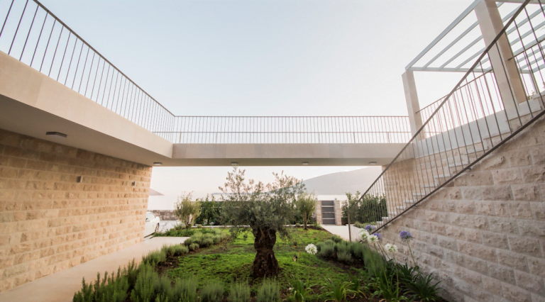 Modern villa in Herceg Novi, Montenegro: stone finish, landscaped garden with an olive tree, and a terrace.