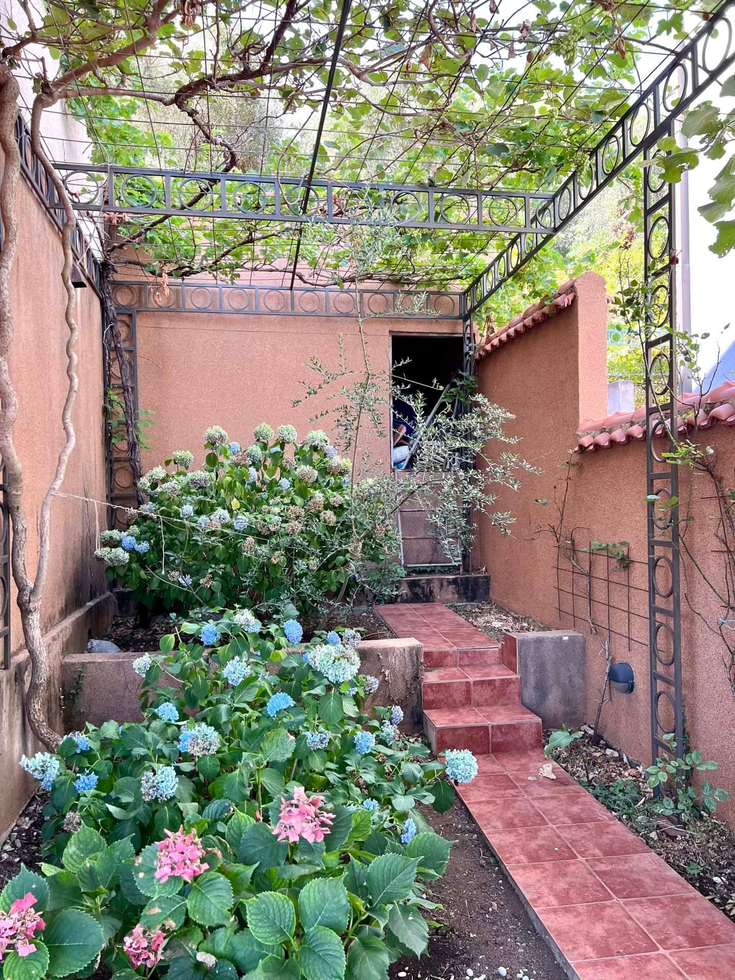 Cozy courtyard with a grape pergola and blooming hydrangeas by a duplex in Petrovac, Montenegro.