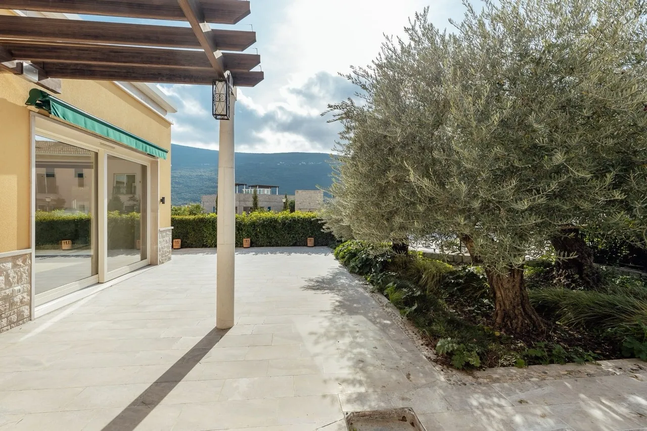 Open stone terrace with wooden pergola, olive tree, and mountain view under cloudy sky.