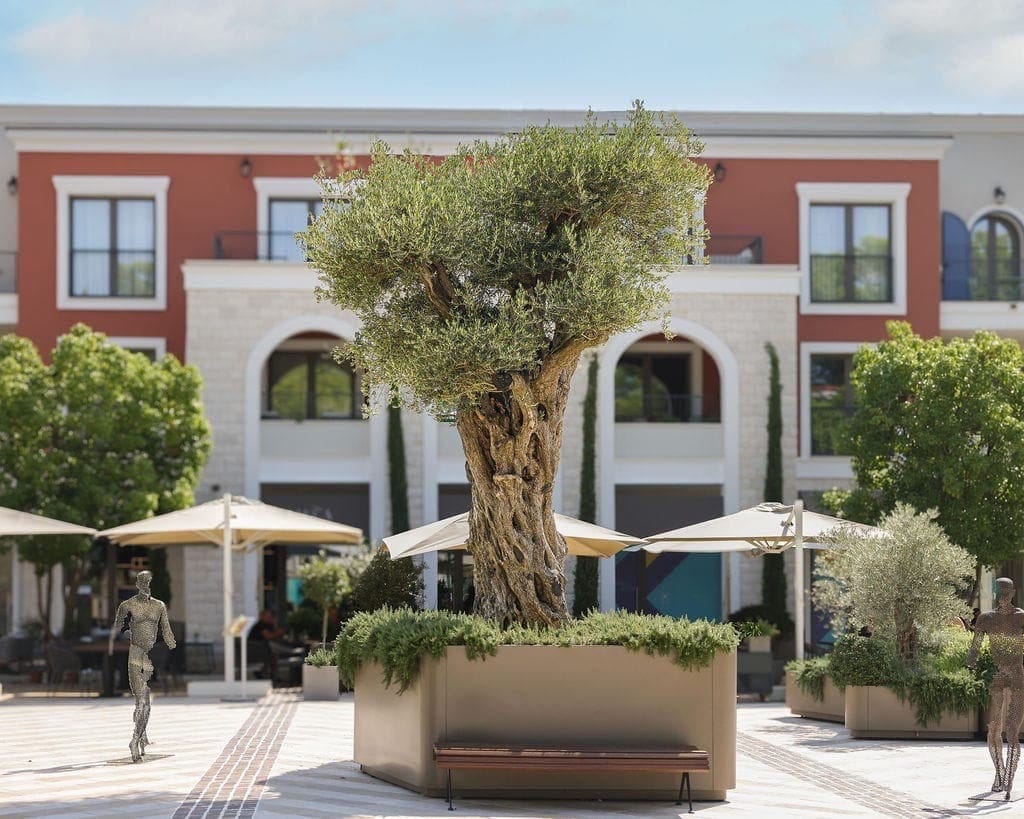 Building exterior featuring an olive tree in a planter, umbrellas, and wire sculptures in a plaza.