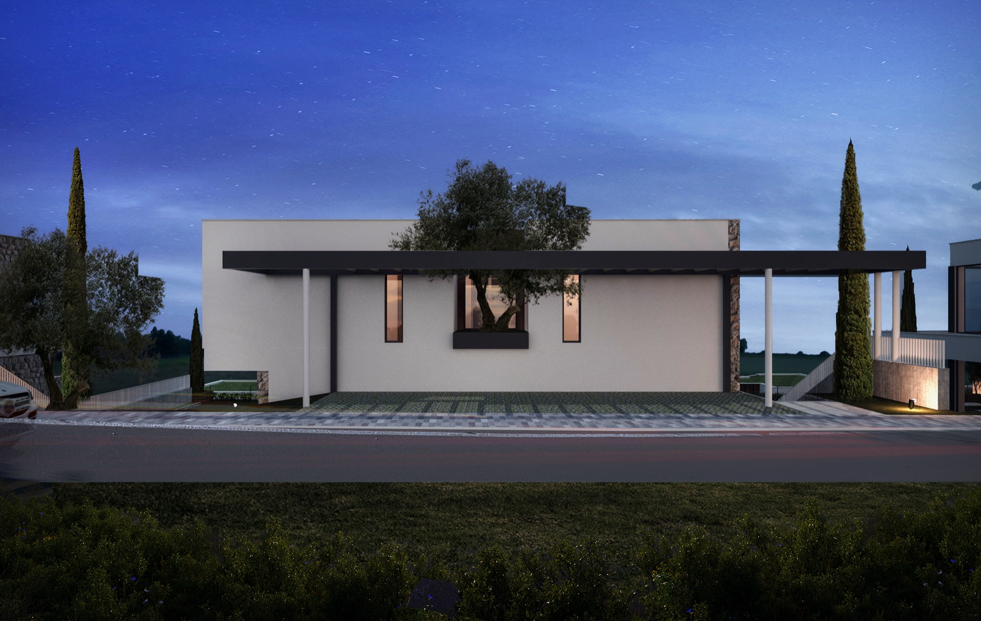 Modern villa in Herceg Novi, Montenegro: facade with an olive tree, stone finishes, and night lighting.