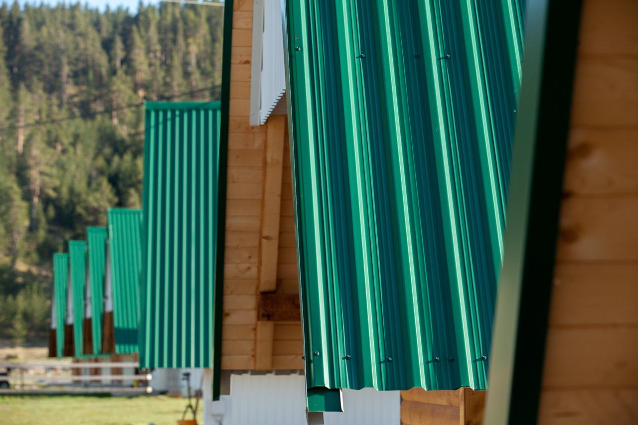 Wooden houses with green roofs in a mountain complex, Žabljak, Montenegro: view of the cottage facades in the forest.