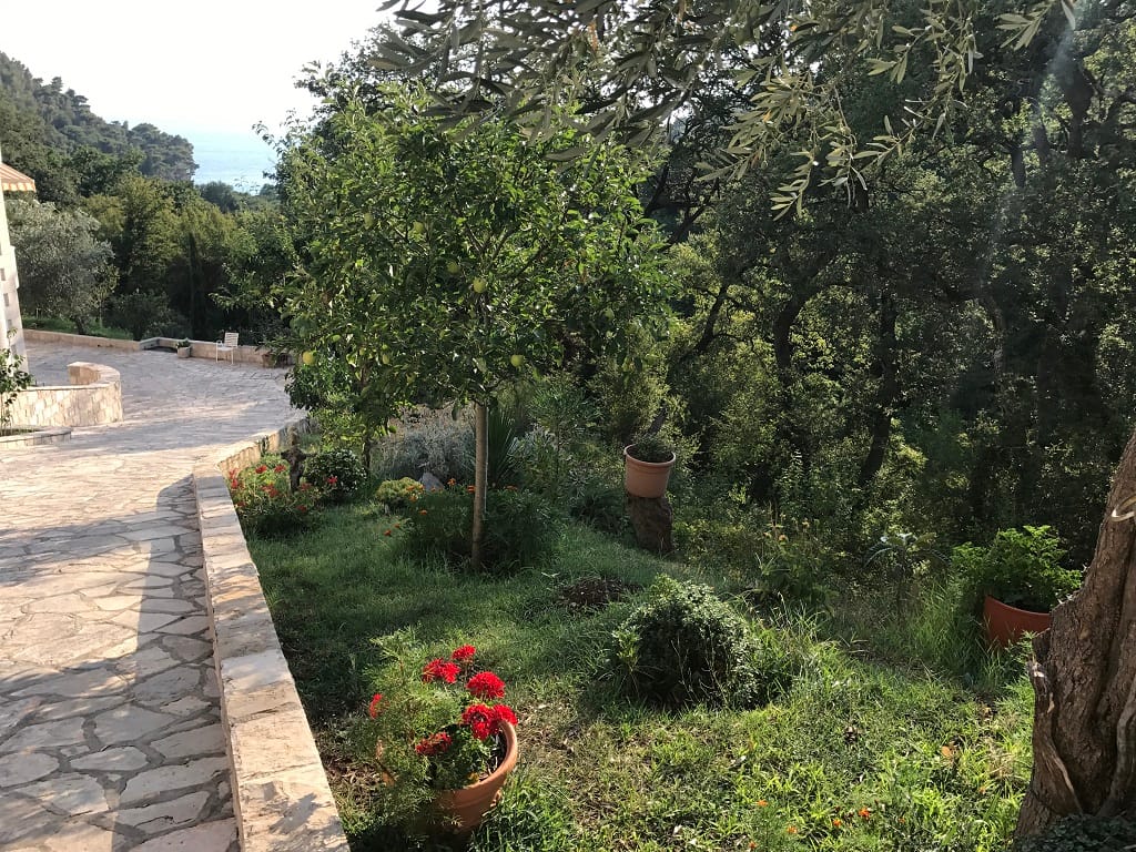 Green garden and stone terrace by the apartment in Petrovac, Montenegro, with sea and forest views.