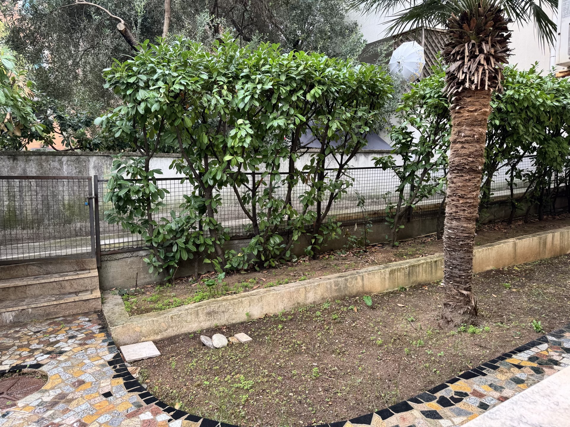 Cozy private courtyard with a palm tree and mosaic path by an apartment in Budva, Montenegro.