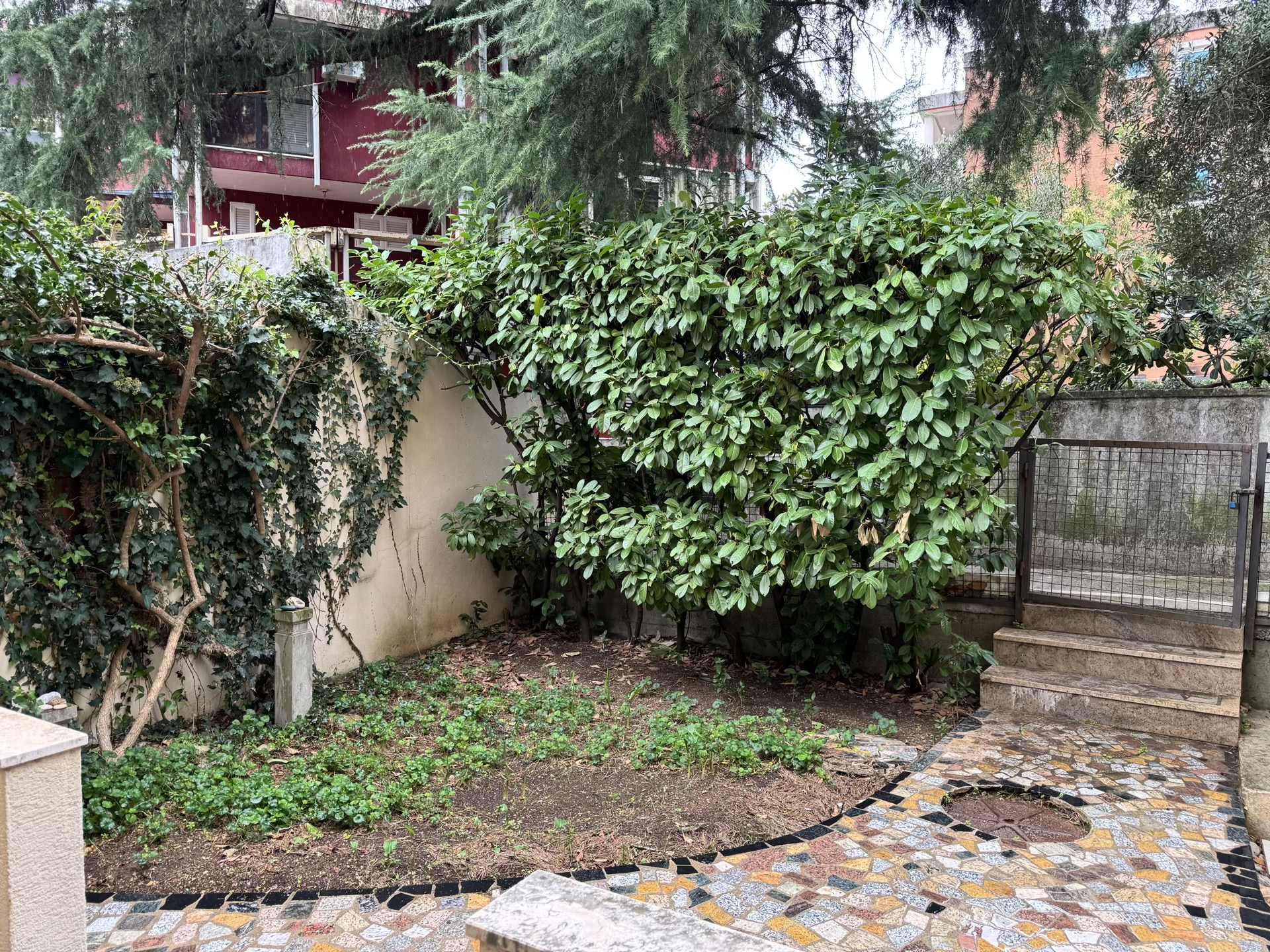 Cozy private courtyard with a mosaic path and greenery by the apartment in Budva, Montenegro.