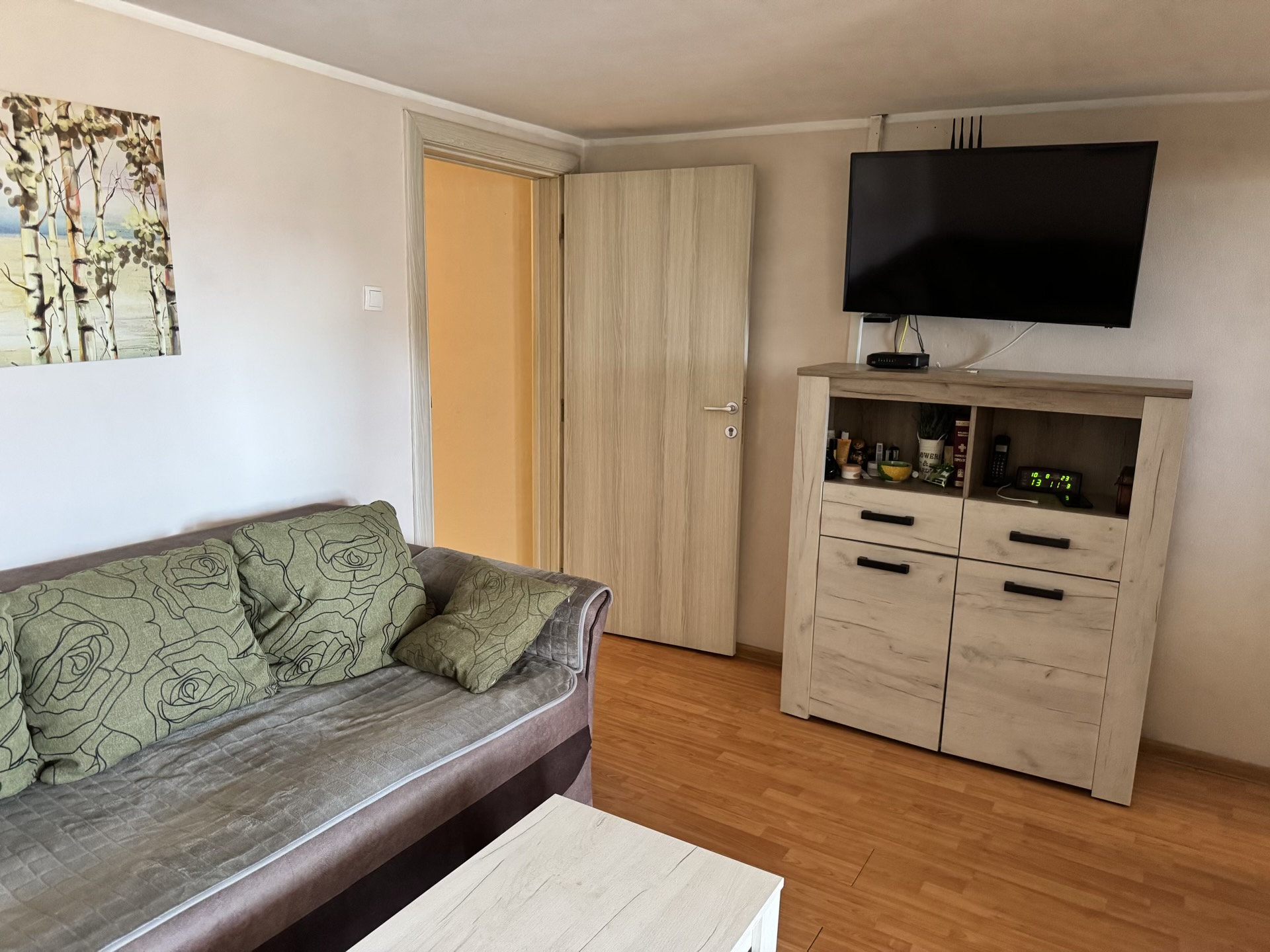 Cozy living room in an apartment in Bečići, Montenegro: sofa with green pillows, TV stand, and laminate flooring in the interior.
