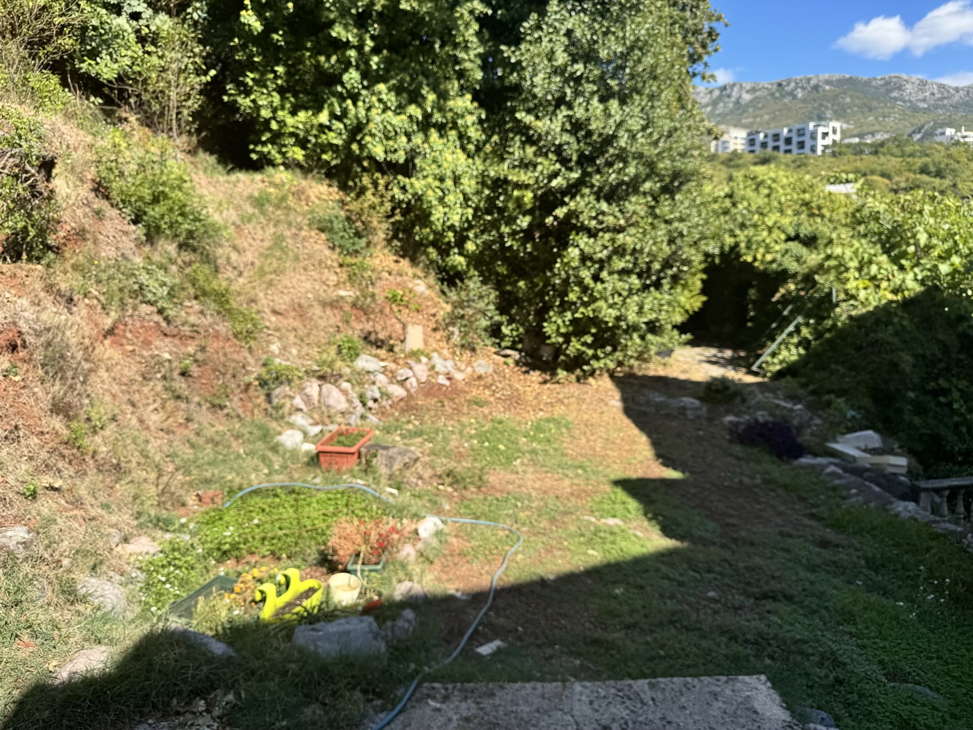 Green yard with a garden and mountain views by the apartment in Bečići, Montenegro.