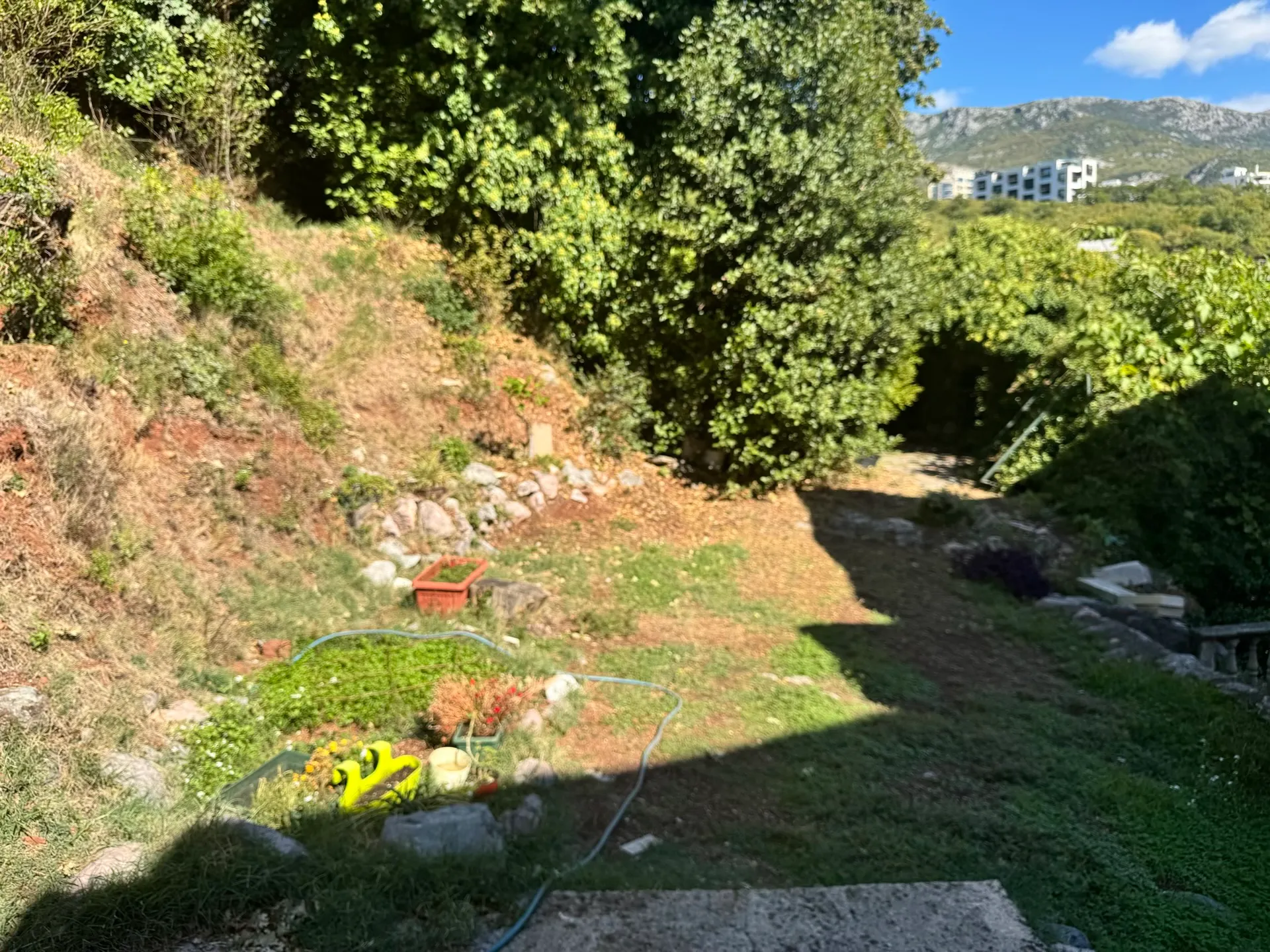 Garden with grass, trees, and garden hoses on a slope. Mountains and a white building are visible in the background under a blue sky.