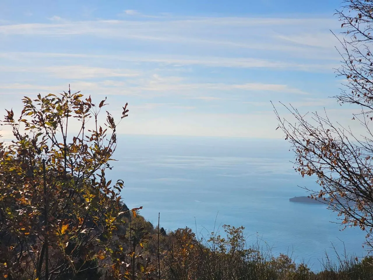 Panoramic view of the sea from a hill, autumn trees and bushes in the foreground, clear blue sky with light clouds.