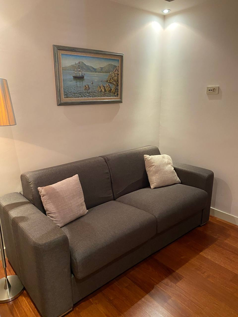 Cozy living room with a gray sofa and a painting in an apartment in Budva, Montenegro: interior with parquet flooring and lighting.