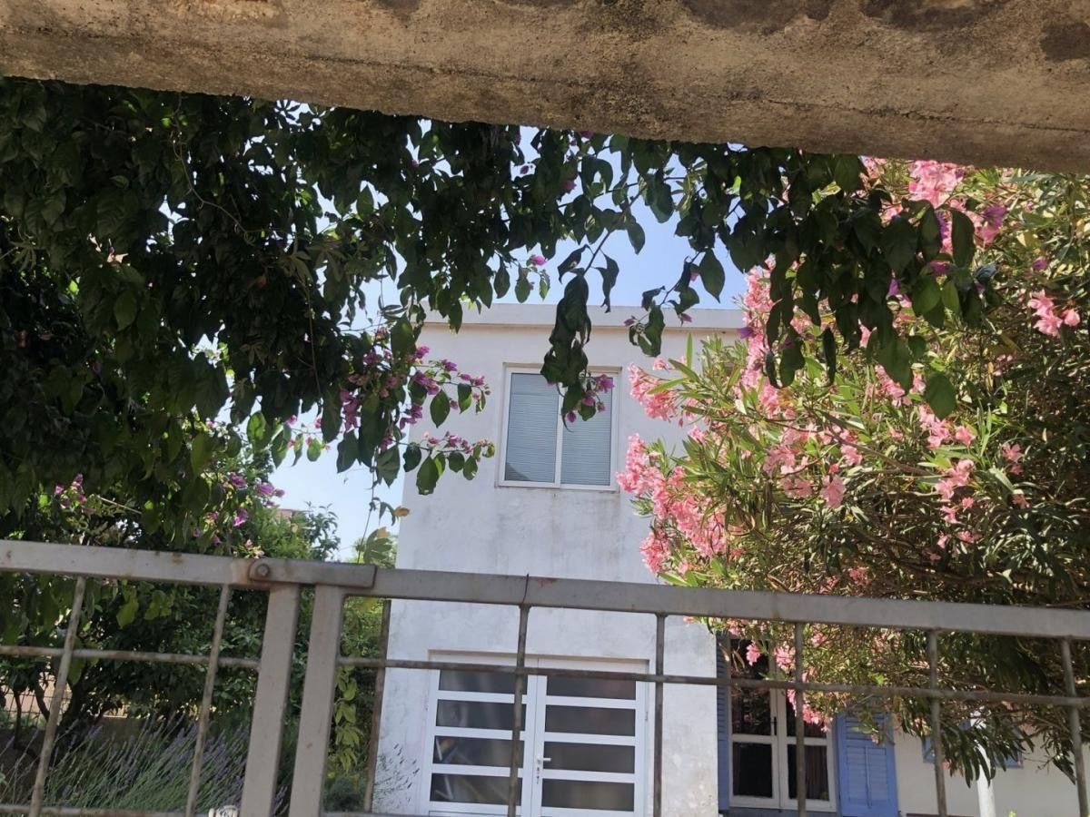 White house in Dobra Voda, Montenegro: facade with a blooming garden, oleanders, and a metal fence in the foreground.