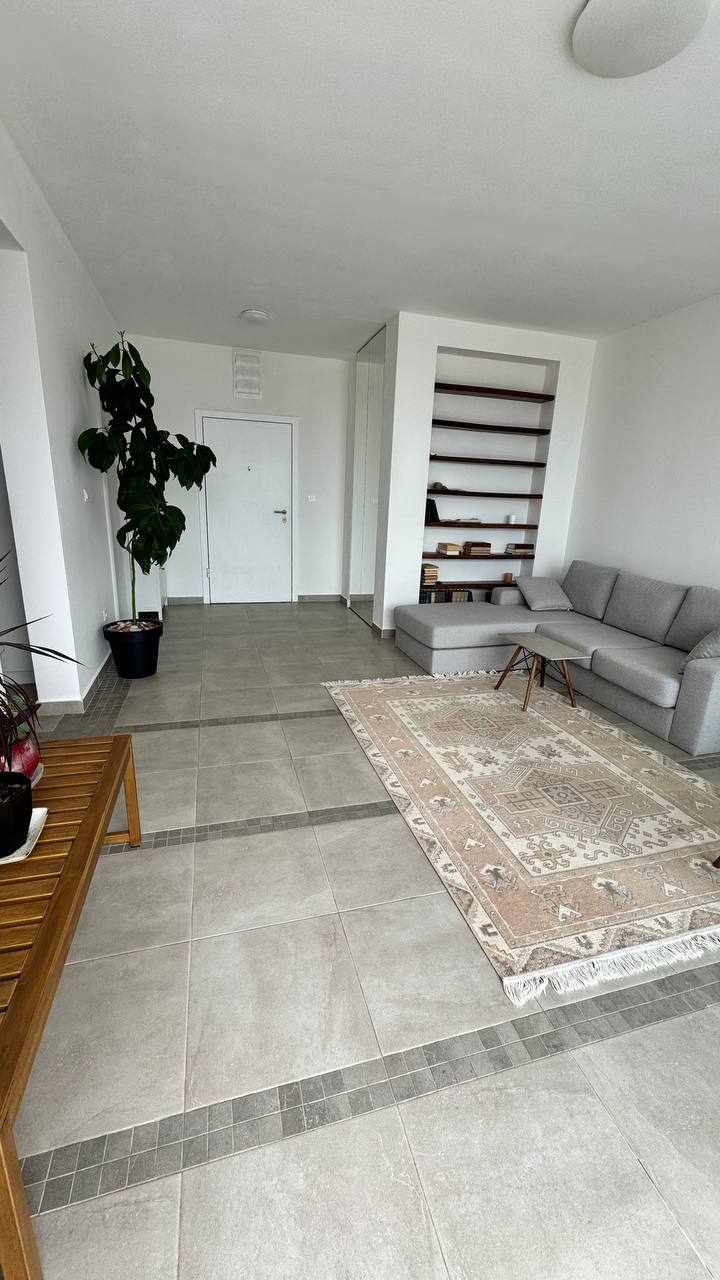 Bright living room in an apartment in Budva, Montenegro: gray sofa, vintage rug, built-in shelving, and a houseplant.
