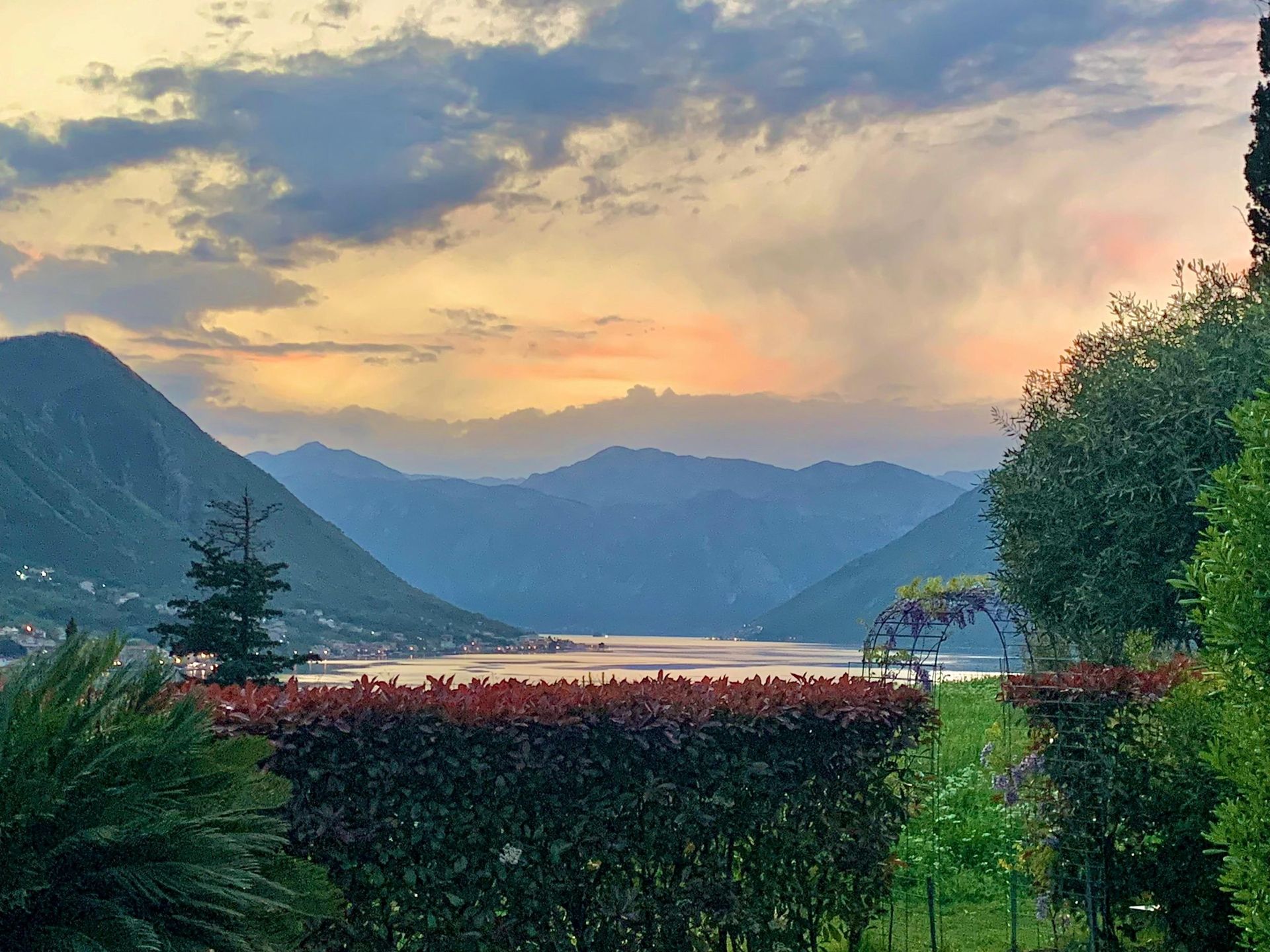 Panoramic view of the Bay of Kotor and mountains at sunset from a garden in Dobrota, Montenegro. Green hedge in the foreground.