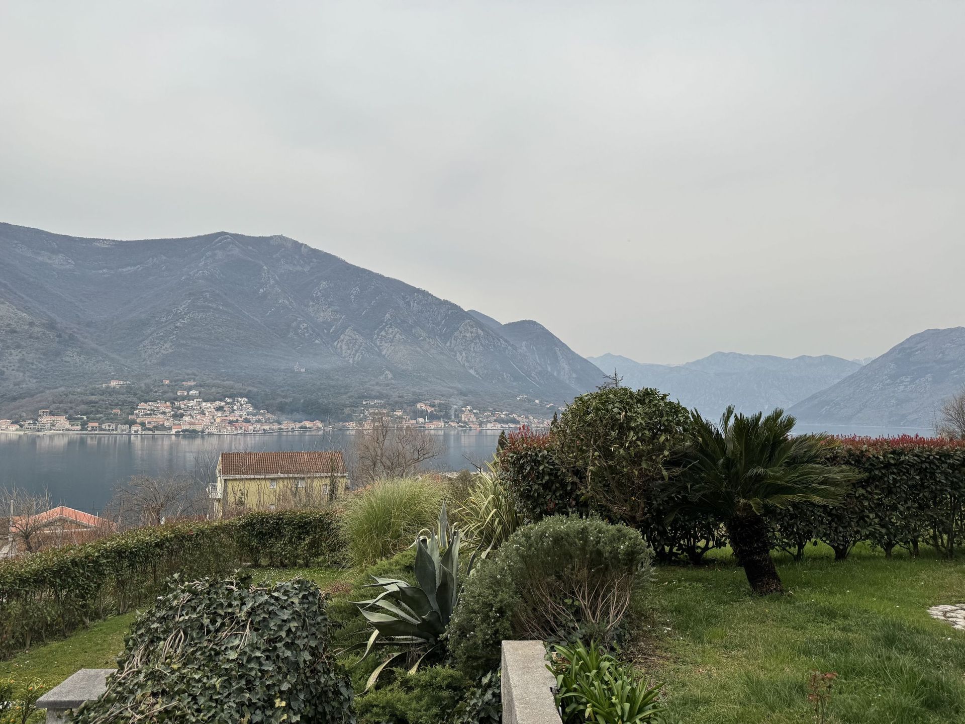Panoramic view of Kotor Bay and the mountains from the garden in Dobrota, Montenegro, with greenery in the foreground.