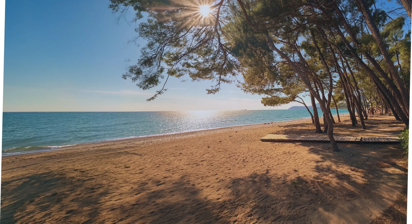 Sandy beach by the sea with pine trees and a wooden walkway under bright sun.