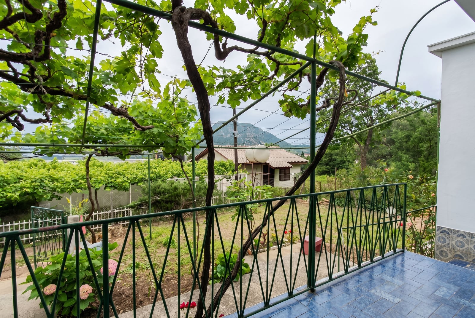 Balcony with a grape pergola and mountain views in a house, Sutomore, Montenegro. Tiled floor and green garden on the property.