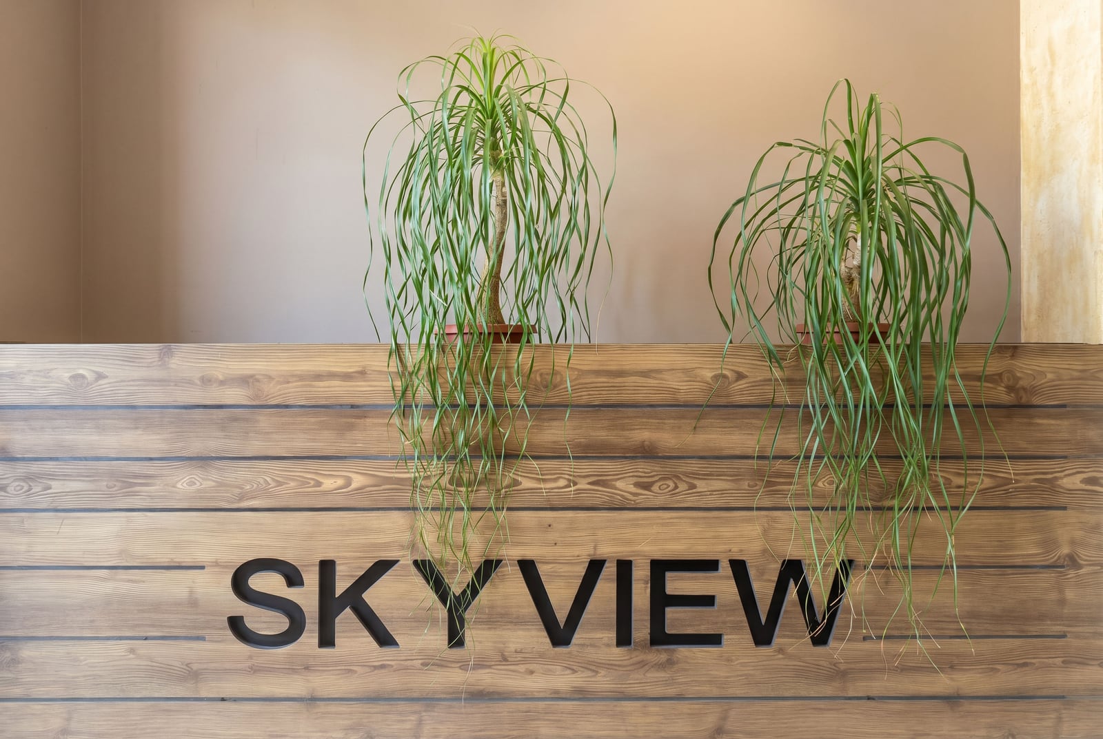 Reception desk with the Sky View logo and decorative plants in the interior of an apartment in Budva, Montenegro.