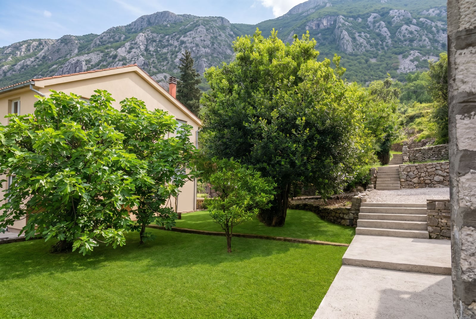 Green garden with trees and a stone staircase by a house in Dobrota, Montenegro. View of the mountains and the surrounding property.