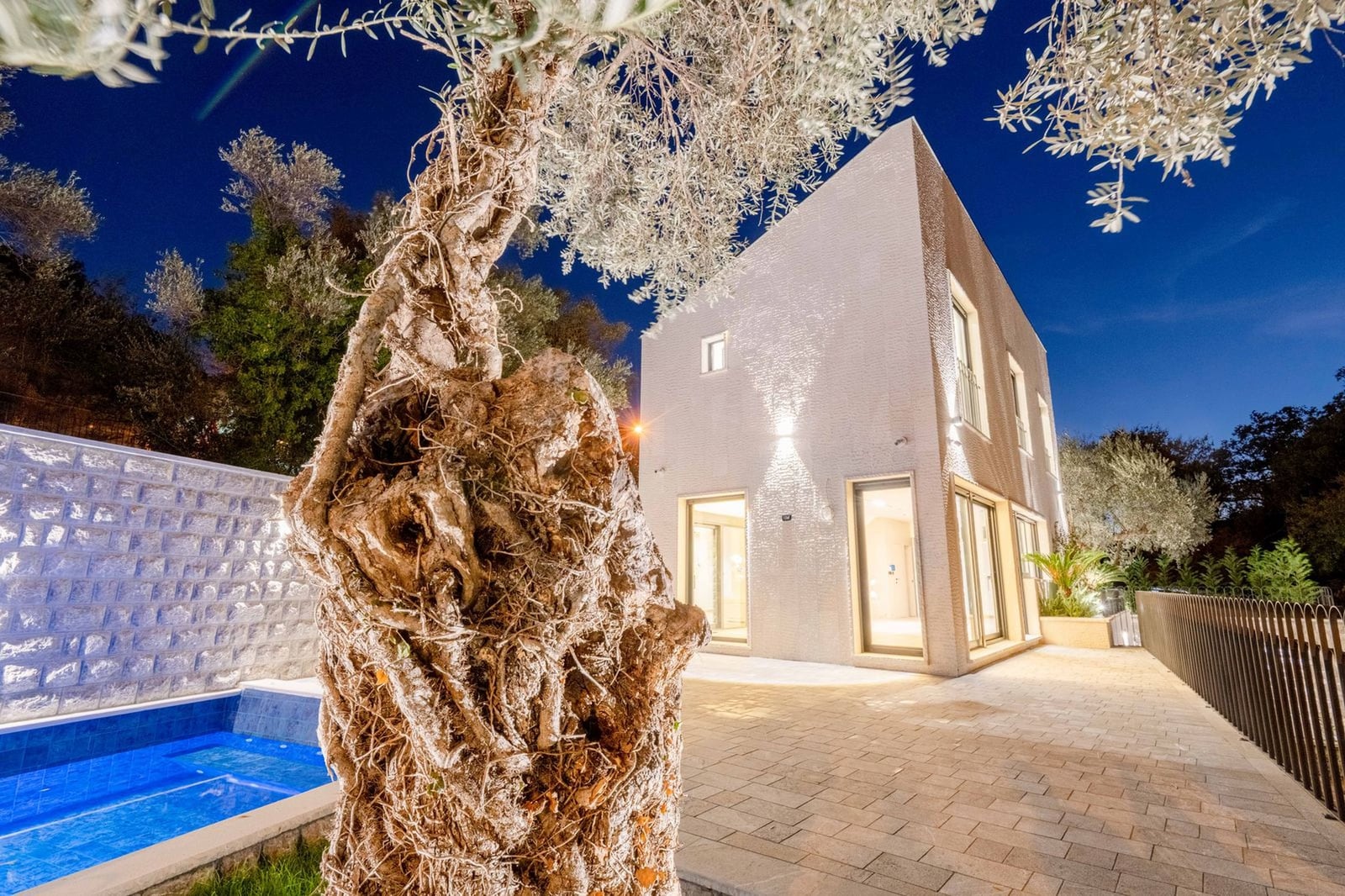 Modern villa in Kamenovo, Montenegro: illuminated facade, private pool, and an olive tree in the garden at evening.