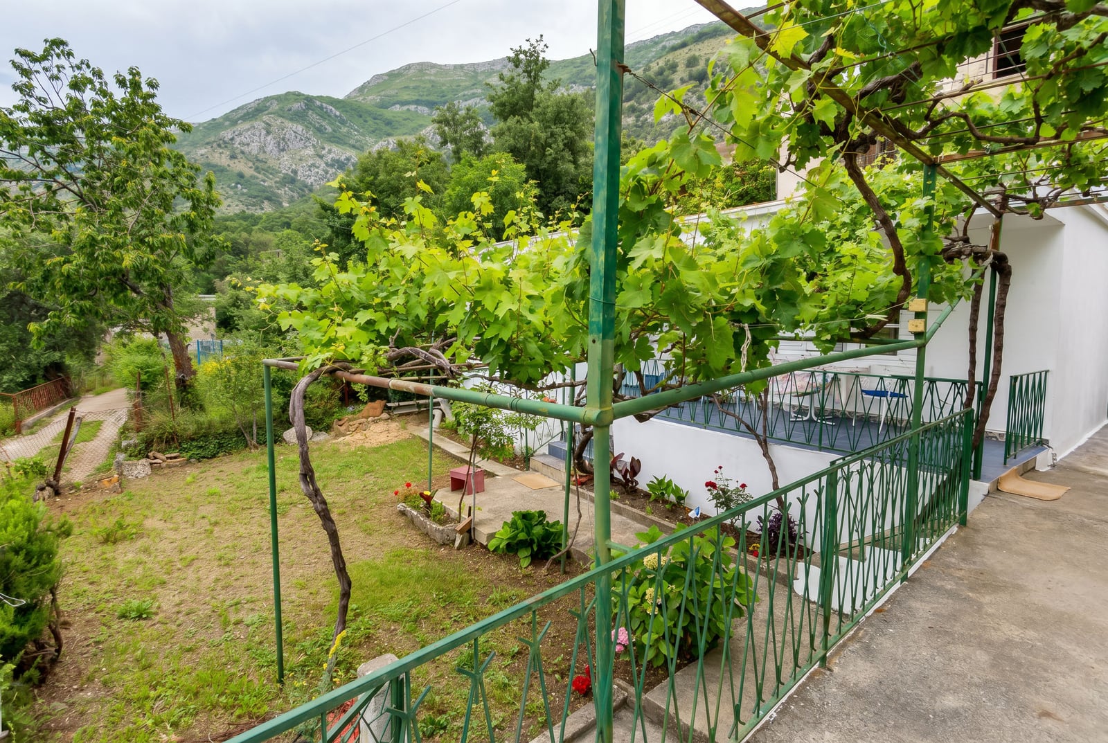Terrace of a house in Sutomore, Montenegro: view of a green garden with grapevines and a mountain landscape in the background.