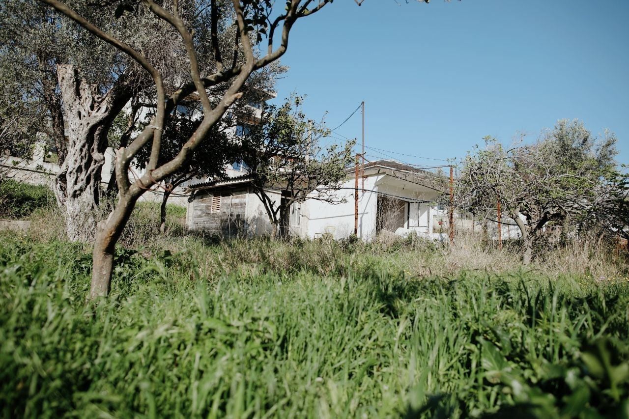 Land plot with olive trees and an old house for renovation in Shushan, Bar, Montenegro.