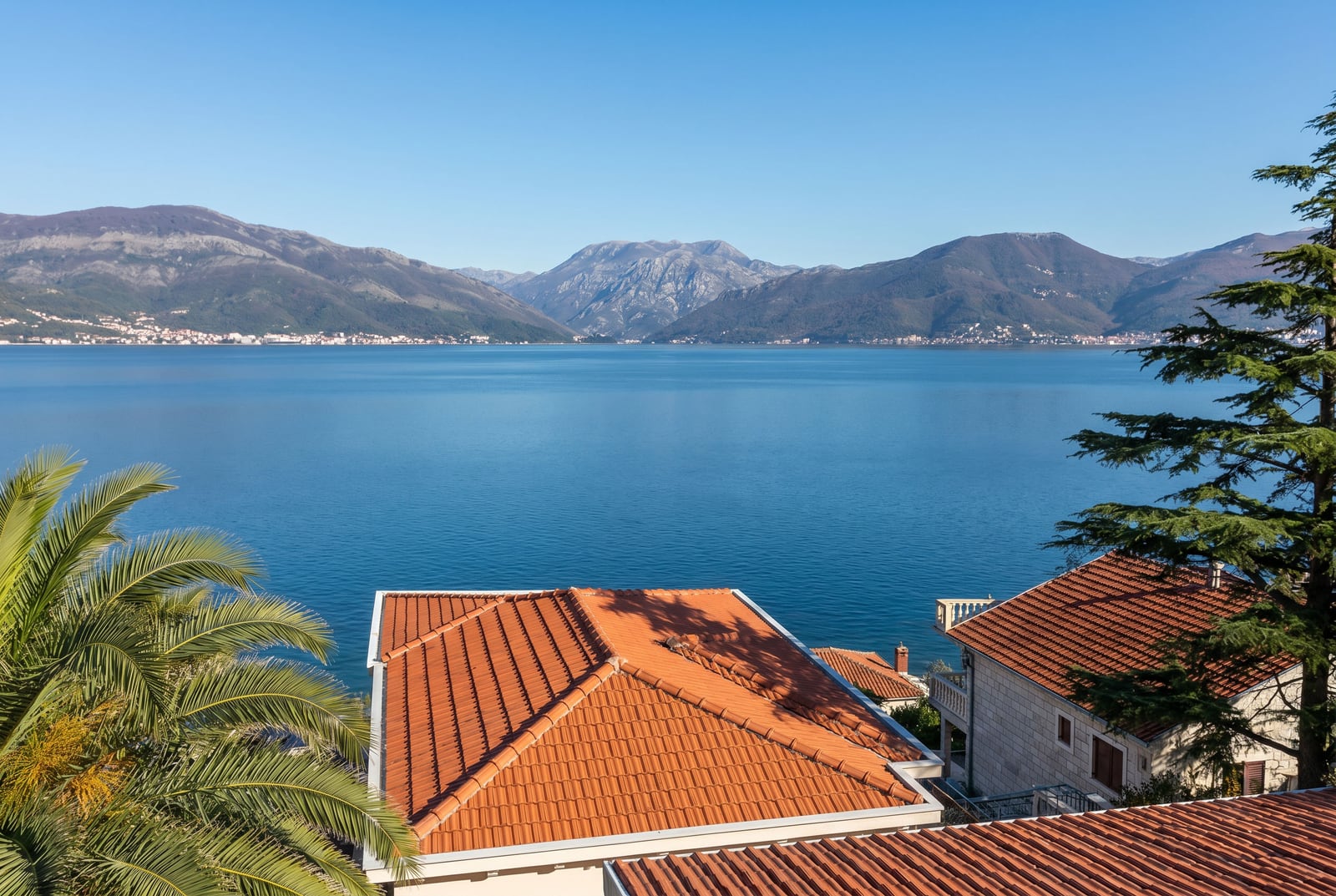 Panoramic view of the sea and mountains from a house in the village of Krašići, Montenegro: tiled roofs and palm trees in the foreground.