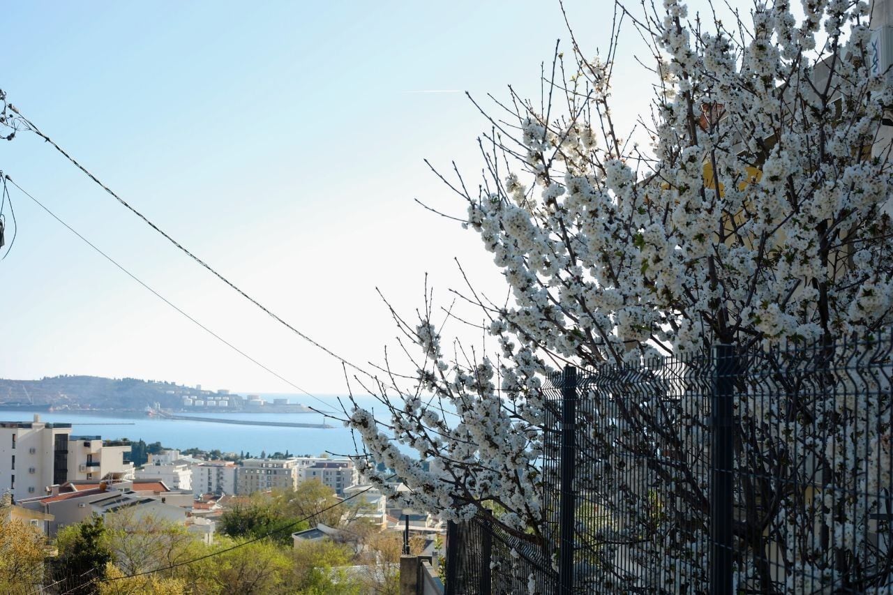 Sea and city view of Bar from a blooming garden on a plot of land in Shushan, Montenegro.