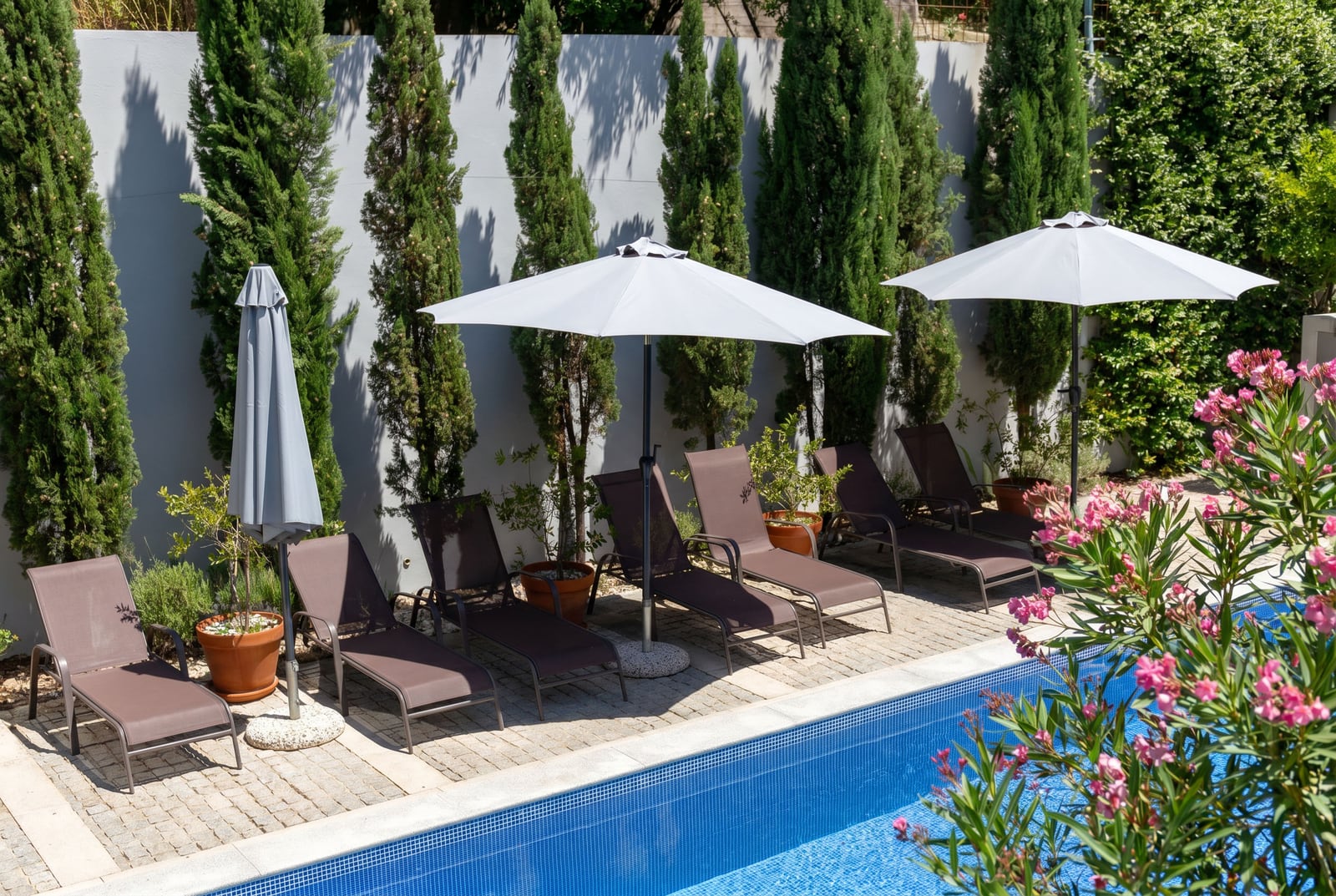 Relaxation area by the pool with sun loungers and umbrellas in Risan, Montenegro: a cozy terrace with landscape design.