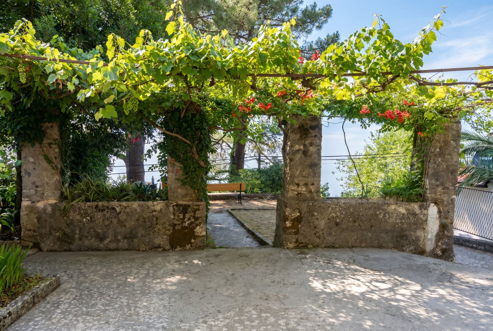 Cozy terrace with stone columns and grapevines at a house in Dobrota, Montenegro. View of the garden and a bench.