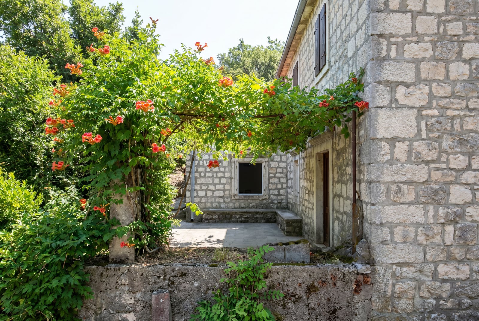Stone house in Dobrota, Montenegro: cozy courtyard with blooming campsis and a natural stone terrace.