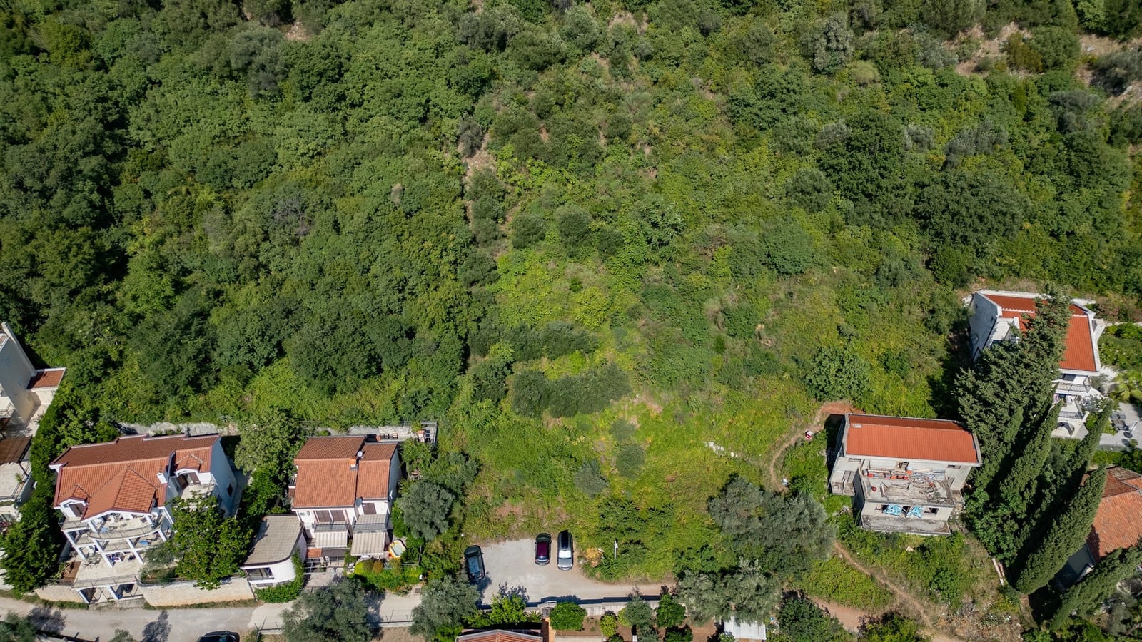 Aerial top-down view of several houses with red roofs situated next to a dense green forested hillside.