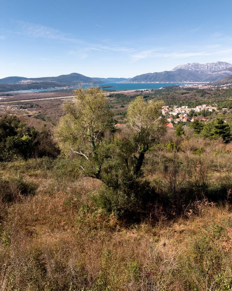 Panoramic view of the Tivat Bay and mountains from a land plot in Kotor, Montenegro.