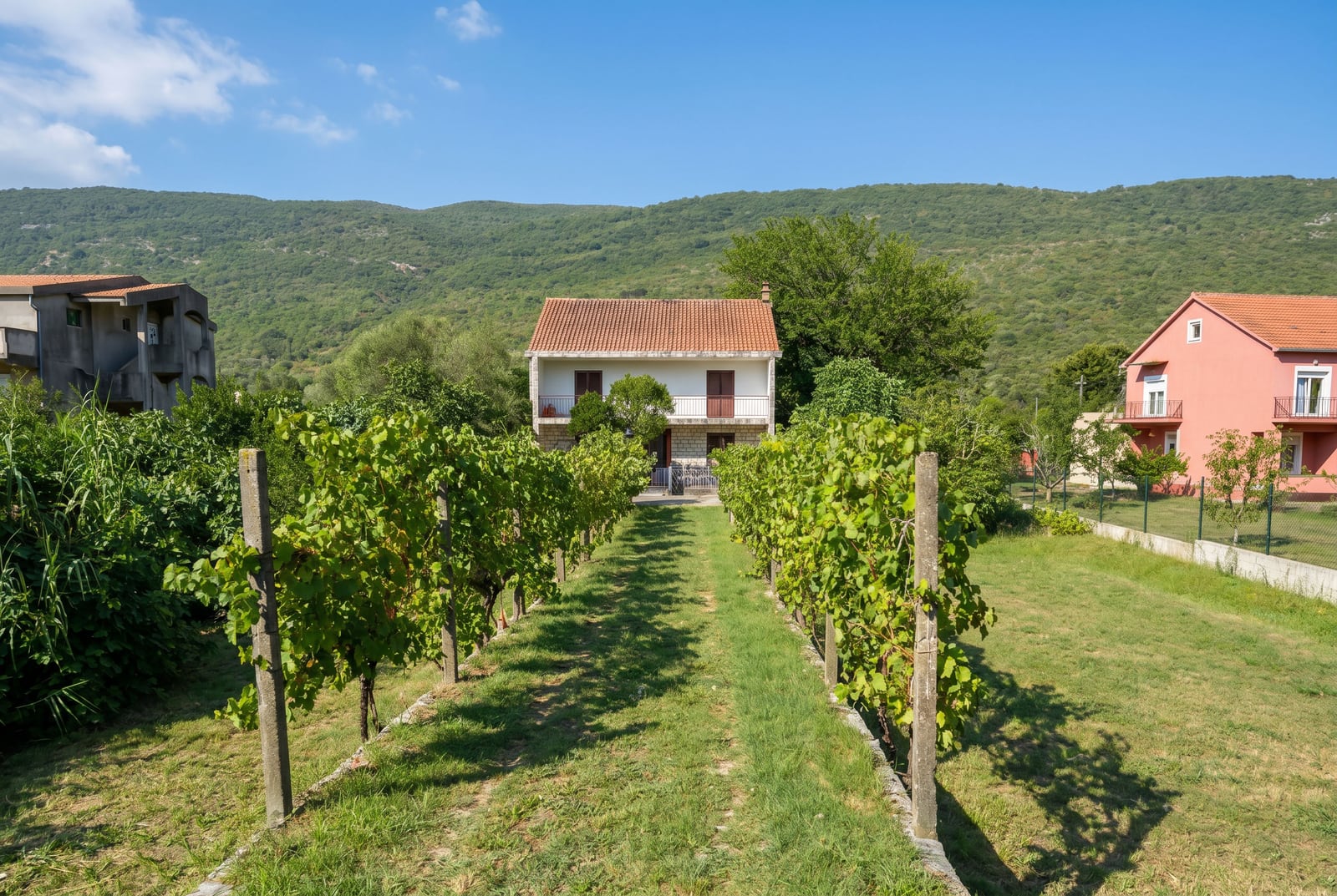 Two-story house in Lastva, Montenegro, with a private vineyard on the plot and a view of the green mountains.