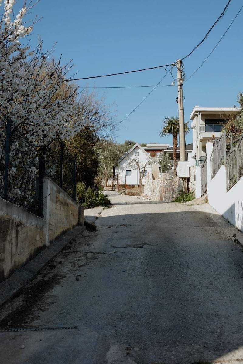 Narrow asphalt road to a land plot in Shushan, Bar, Montenegro, with views of private houses and blooming trees.