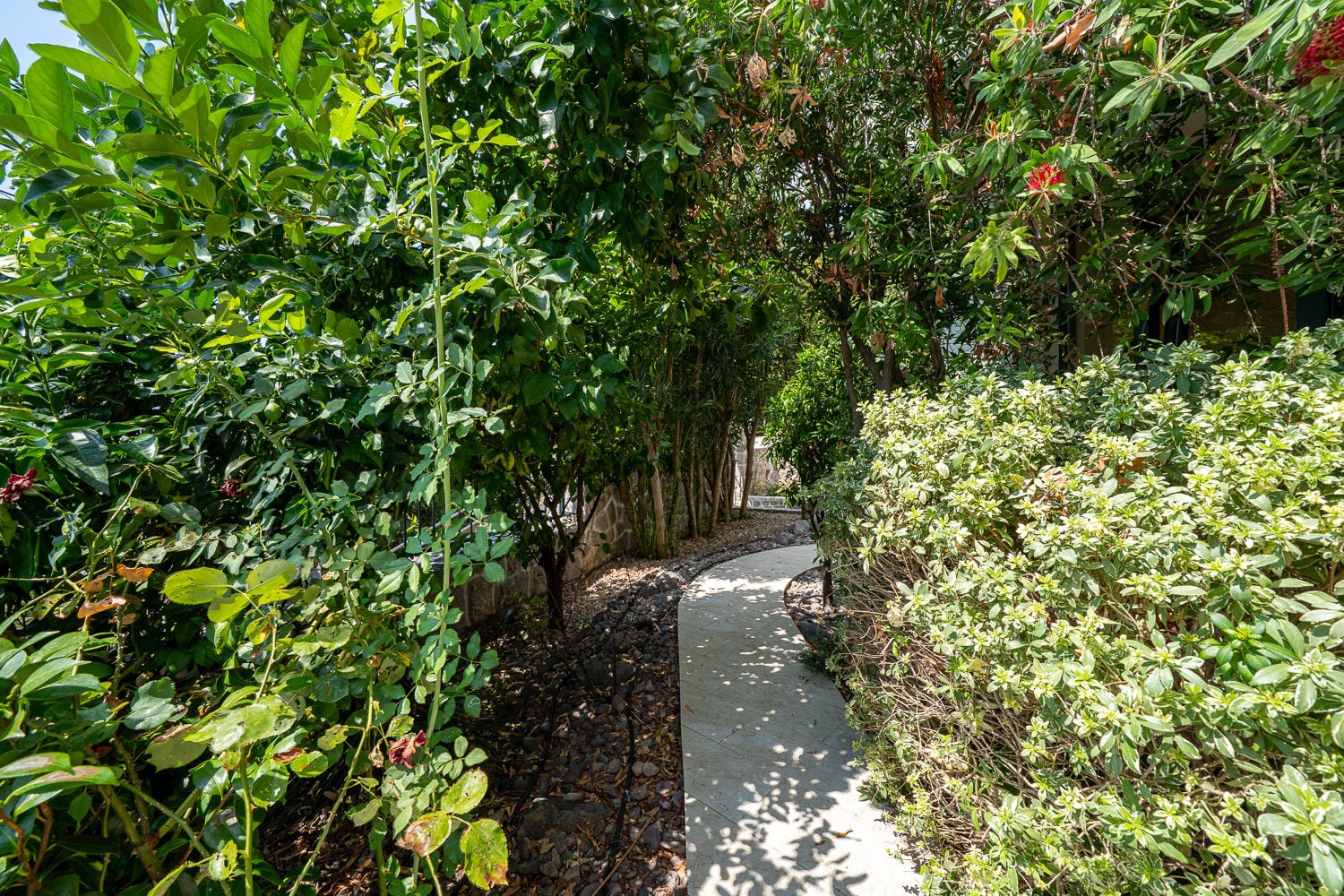 Stone garden pathway surrounded by dense green bushes and trees under bright sunlight.