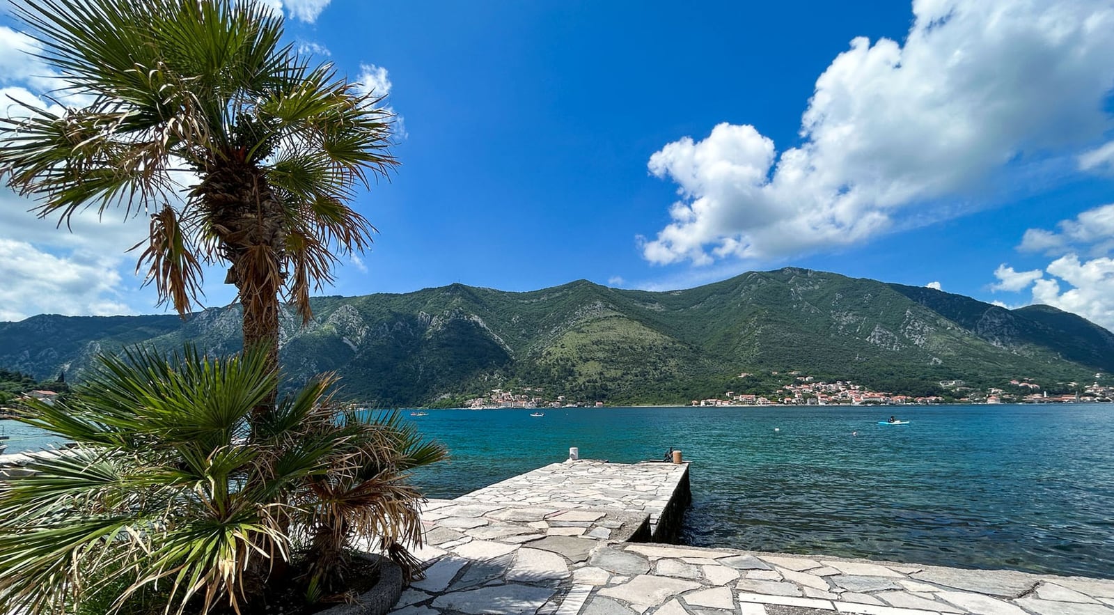 Sea and mountain view from the stone pier by the villa in Dobrota, Montenegro: a palm tree in the foreground and a panoramic coastline view.