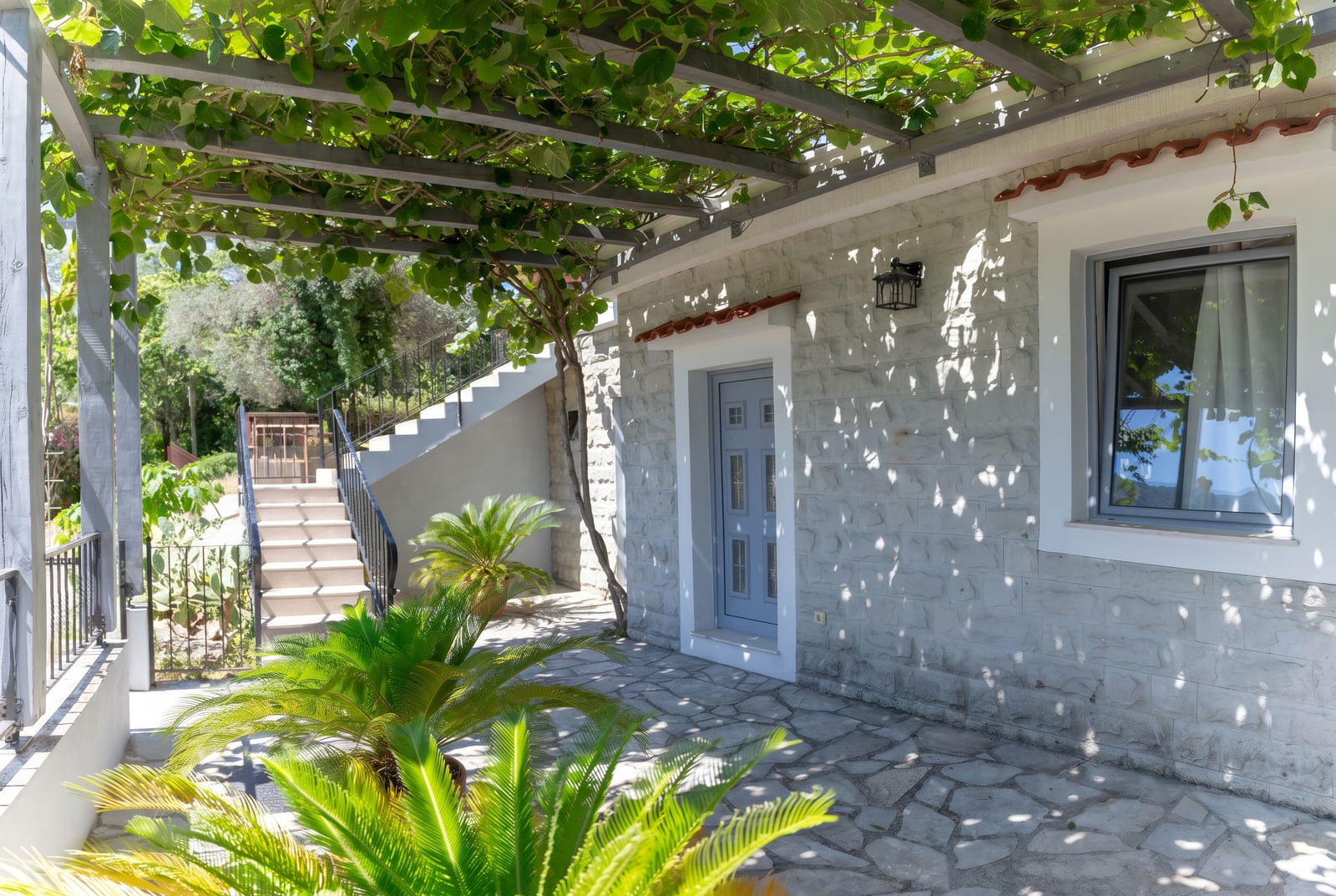 Stone house terrace in Risan, Montenegro: a vine-covered pergola, palm trees, and a staircase to the second floor.