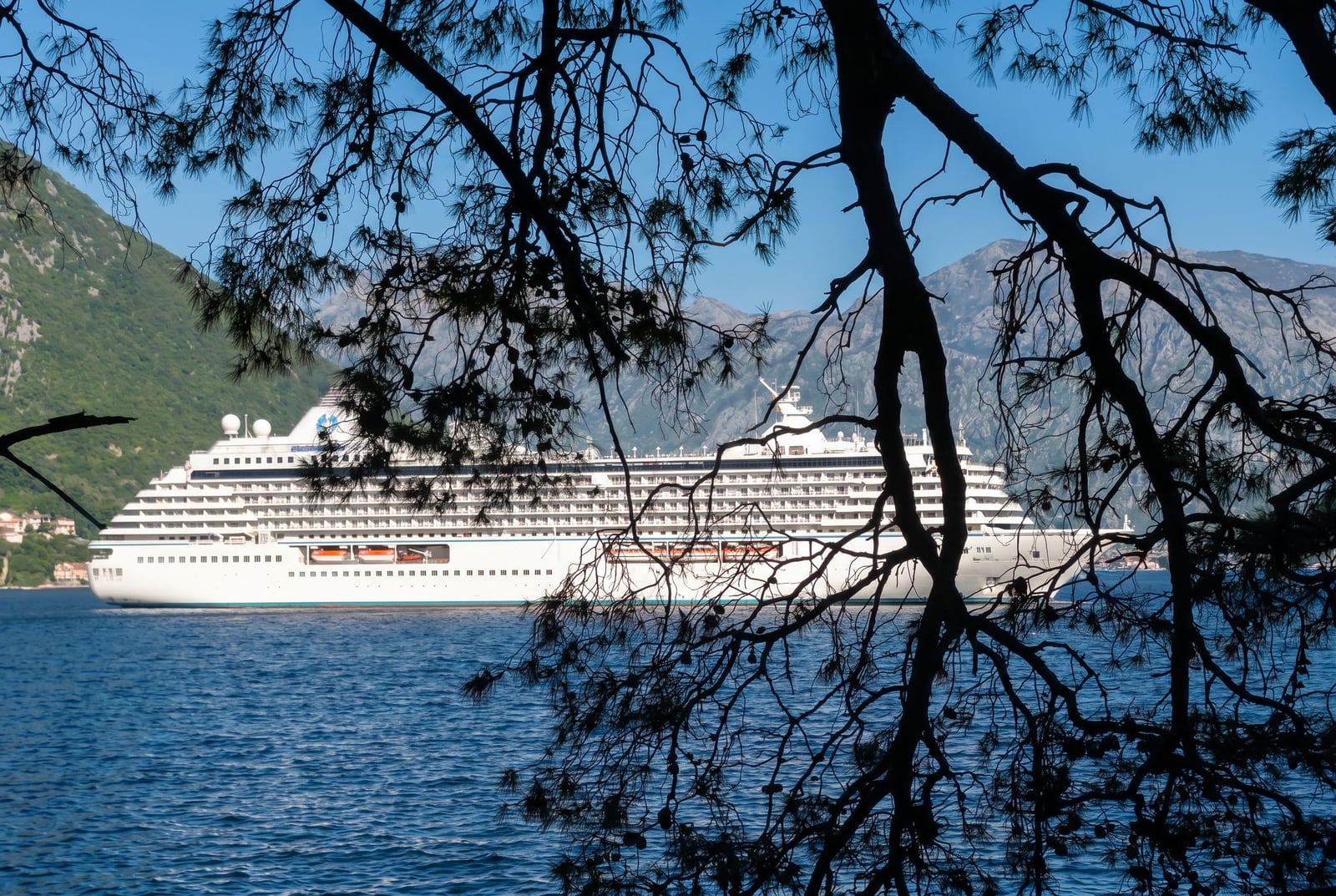 View of a cruise ship in the Bay of Kotor from a house in Dobrota, Montenegro: seascape with pine trees and mountains.