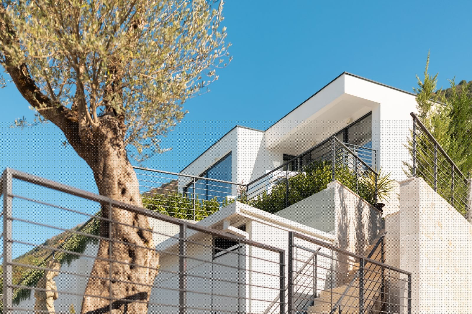 Modern townhouse with terraces and an olive tree in Kavač, Montenegro: view of the residential complex facade.