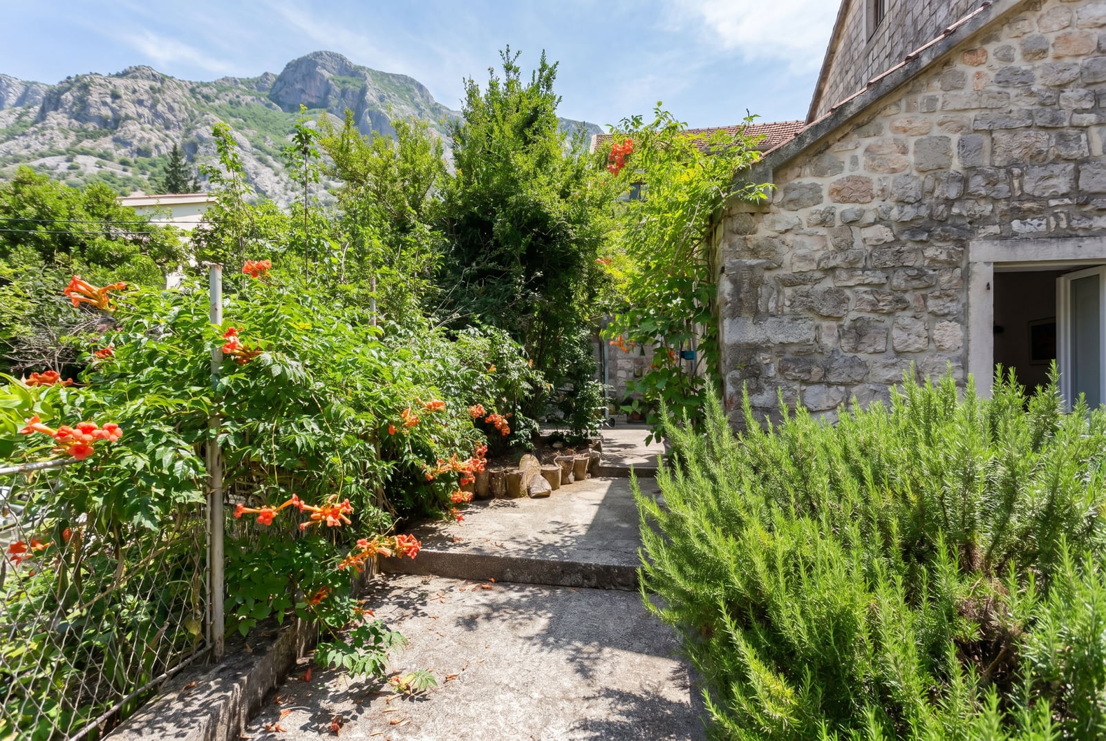 Stone house in Dobrota, Montenegro: cozy green garden with blooming plants and a picturesque mountain view.