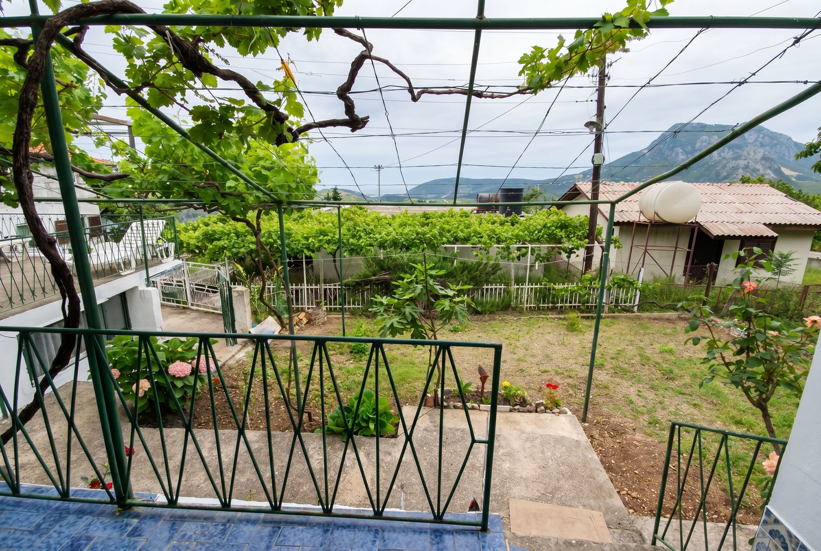 View from the terrace of a house in Sutomore, Montenegro: green garden with a vineyard, metal canopy, and mountain landscape.
