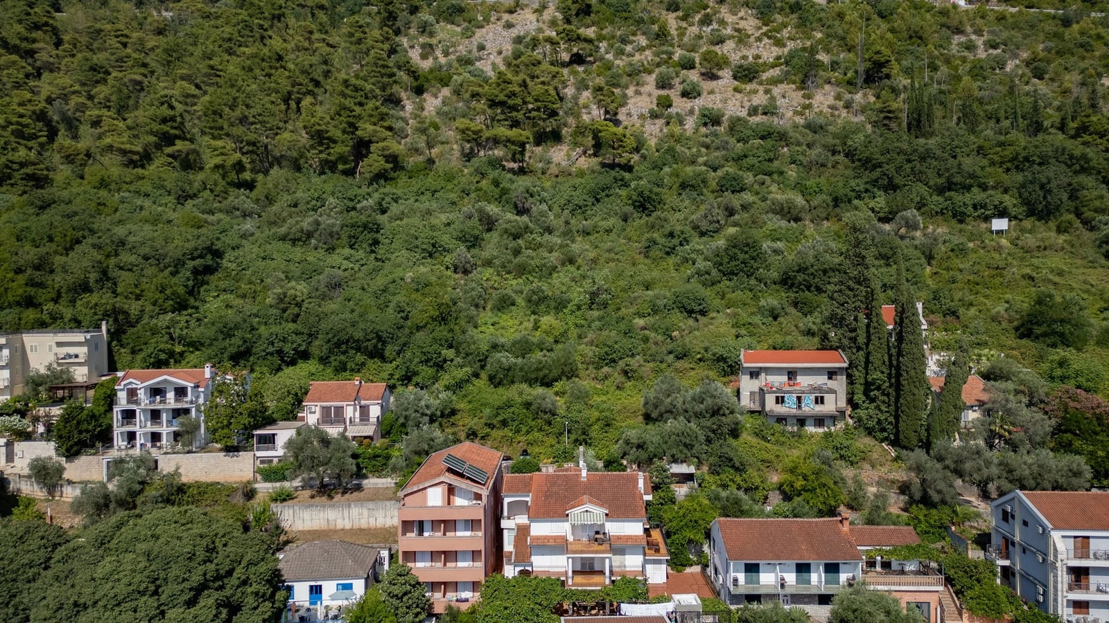 View of a green forested hill with several houses featuring red tiled roofs at the bottom.