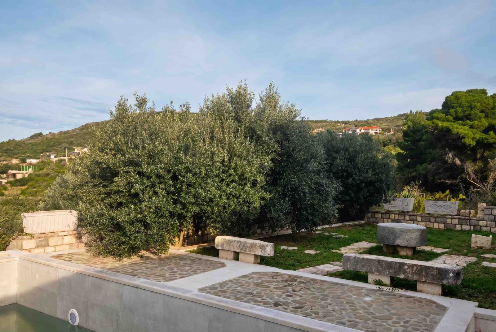 Stone terrace pool with olive trees in the garden of a house in Luštica, Montenegro.